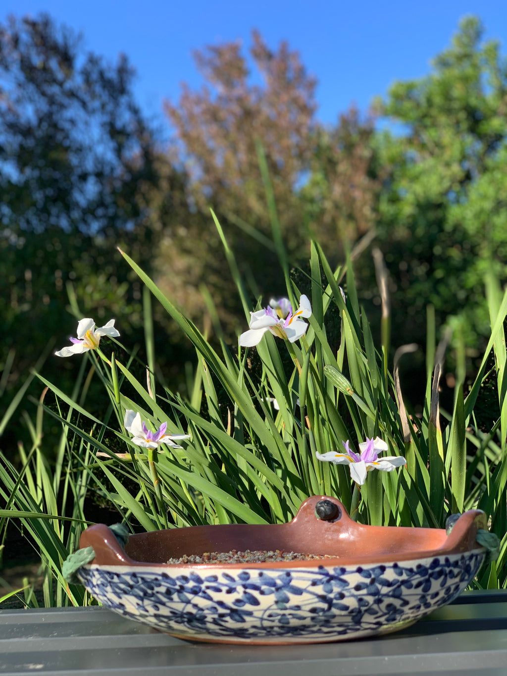 The Midnight Garden Tray